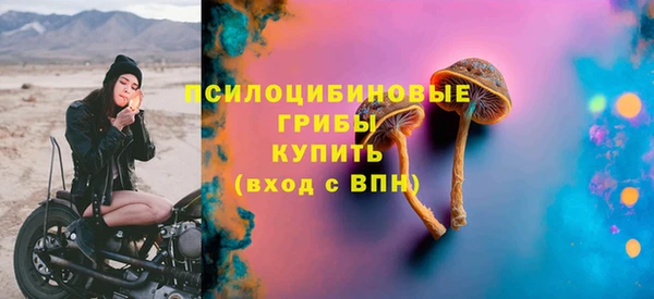 спайс Алексин