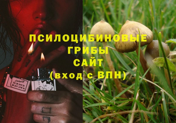 MESCALINE Алзамай
