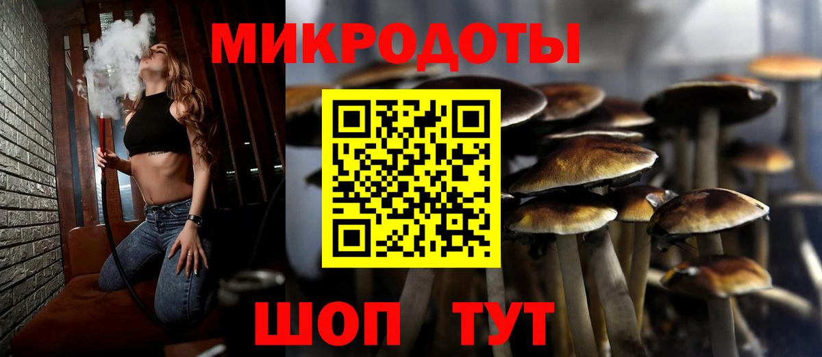 Псилоцибиновые грибы Psilocybe  Вход с VPN  Алушта 